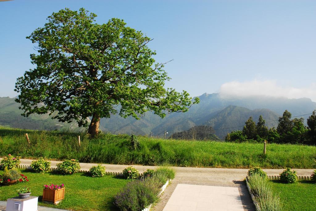 Hotel Mirador Del Sella Ribadesella Zewnętrze zdjęcie